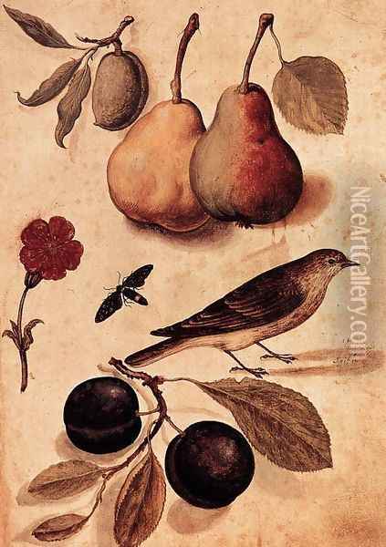 Specimens of Nature Oil Painting - Ulisse Aldrovandi