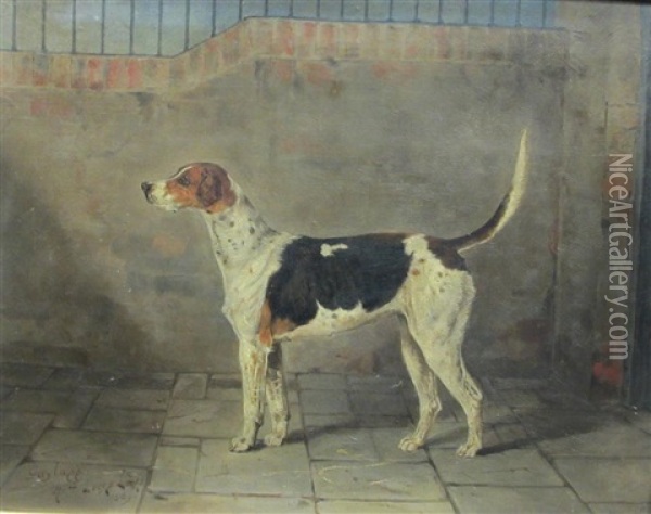 Gaylass, A Foxhound In A Stable Oil Painting - Henry Frederick Lucas Lucas