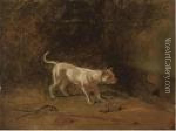 The Rat-catcher Oil Painting - Samuel Raven