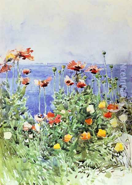 Poppies, Isles of Shoals 2 Oil Painting - Childe Hassam