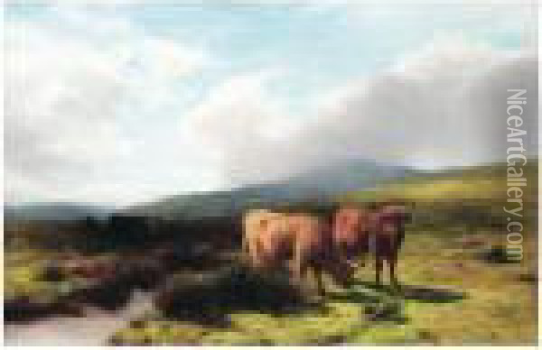 Highland Cattle Oil Painting - Peter Graham
