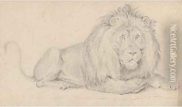 A lion Oil Painting - Alfred William Strutt