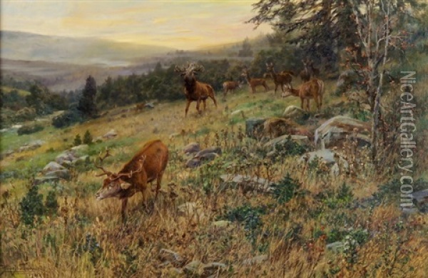 Waldlichtung Mit Asenden Hirschen Oil Painting - Hans W. Schmidt