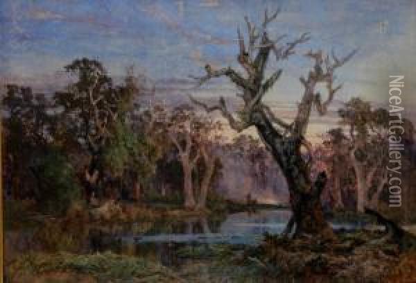 Lagoon In The Carrum Carrum Swamp Oil Painting - James Waltham Curtis