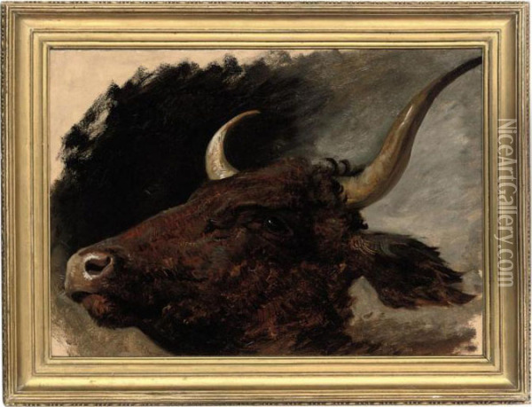 Head Study Of A Bull Oil Painting - James Lawton Wingate