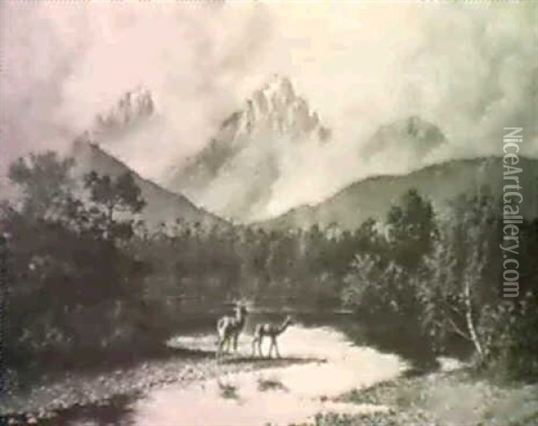 Deer In The High Sierras Oil Painting - William Baptiste Baird