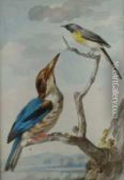 Zwei Vogel Oil Painting - Aert Schouman