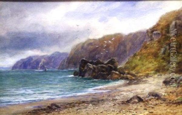 Candlestick Bay, Howth Oil Painting - Alexander Williams