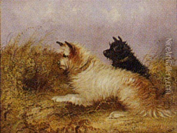 Terriers In A Field Oil Painting - J. Langlois