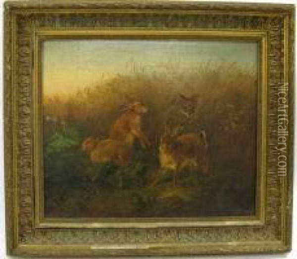 Landscapewith Fox Stalking Three Cottontails Oil Painting - Carl Oswald Rostosky