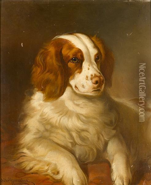Portrait Of The Springer Spaniel 'billy Bus' Oil Painting - Walter Harrowing