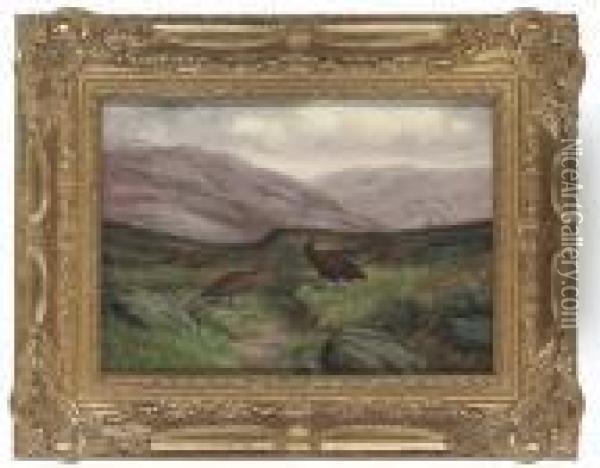 Grouse On A Moor Oil Painting - Benjamin, Ben Hold