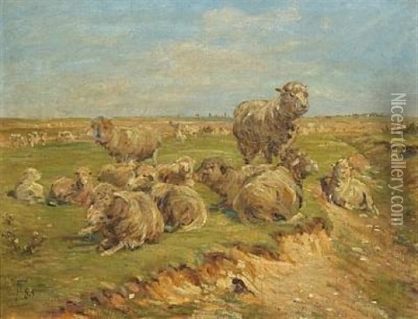 Sheep In The Field Oil Painting - Theodor Philipsen