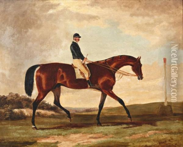Ruiter Op Zijn Volbloedpaard Oil Painting - Charles Hancock