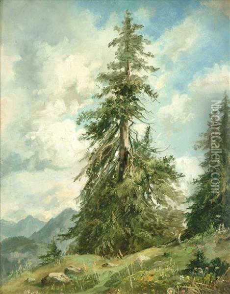 The Great Pine Oil Painting - Eduard Ruegg