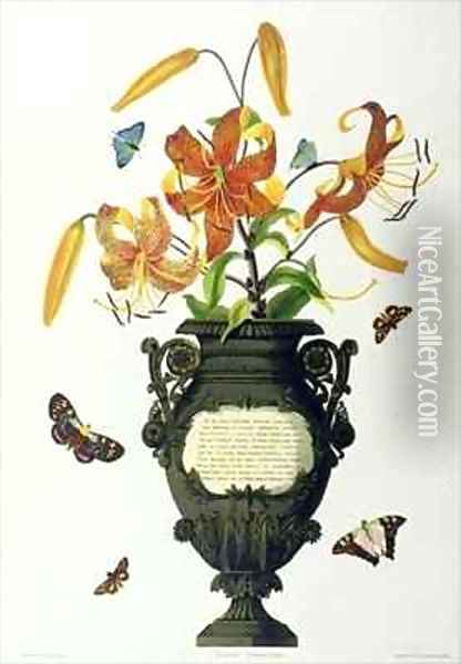 Lilium tigrinum Tiger Lily Oil Painting - Bury, Mrs Edward