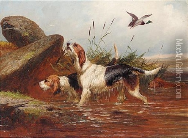 A Pair Of Otter Hounds (+ A Pair Of Setters; 2 Works) Oil Painting - Colin Graeme