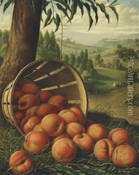 A Peck Of Peaches Oil Painting - Levi Wells Prentice