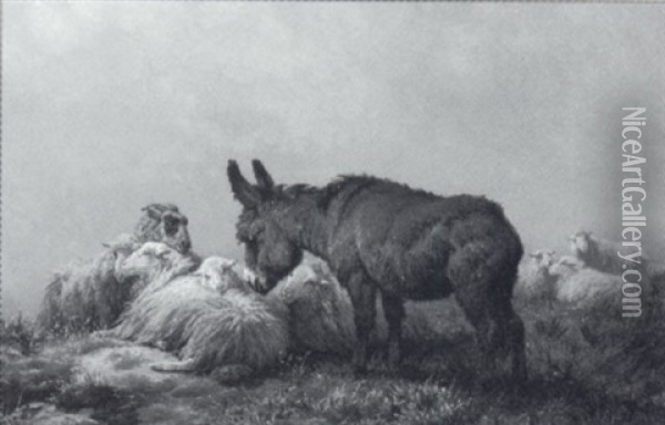 Ruhende Schafe Mit Eselchen Oil Painting - August Friedrich Albrecht Schenck