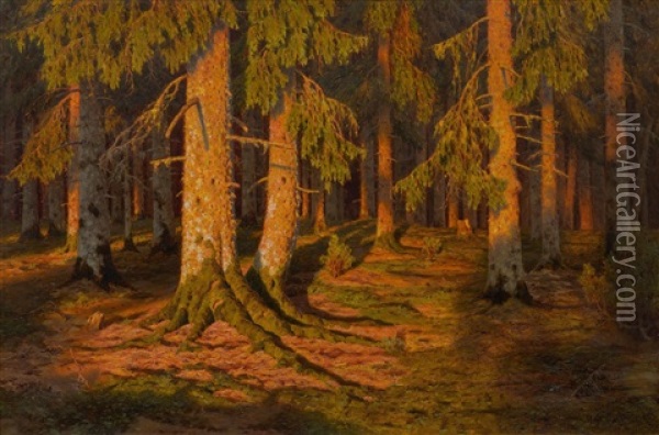 Forest Landscape At Sunset Oil Painting - Ivan Fedorovich Choultse