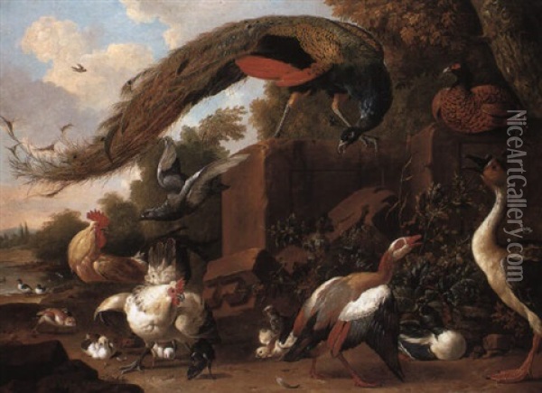 Peacock, Ducks, Pheasant And Other Birds By A Plinth Oil Painting - Pieter Casteels III