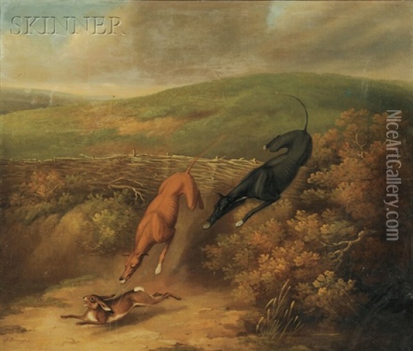 Greyhounds In The Hunt For A Rabbit Oil Painting - James Barenger the Younger