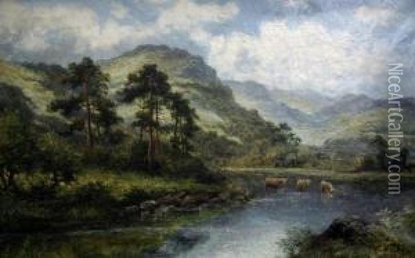 Highland Cattle Watering Oil Painting - William Langley