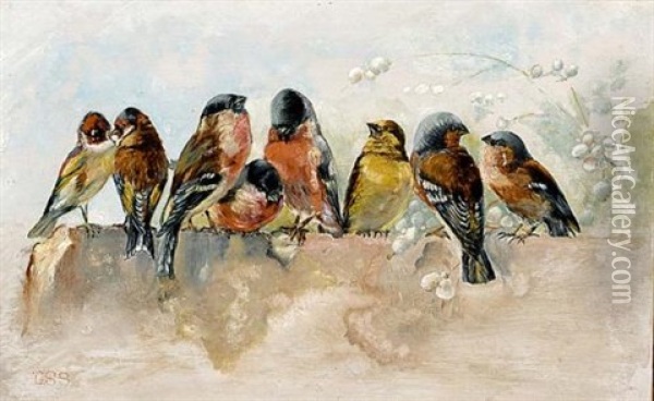 Birds On A Wall Oil Painting - Cornelis Samuel Stortenbeker