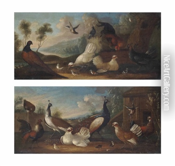 A Cockerel, A Pheasant And Chickens In A Landscape (+ Two Peacocks, Chickens And A Pheasant In A Landscape; Pair) Oil Painting - Marmaduke Cradock
