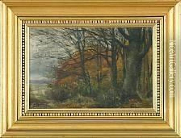 Autumn Forest Oil Painting - Hans Agersnap