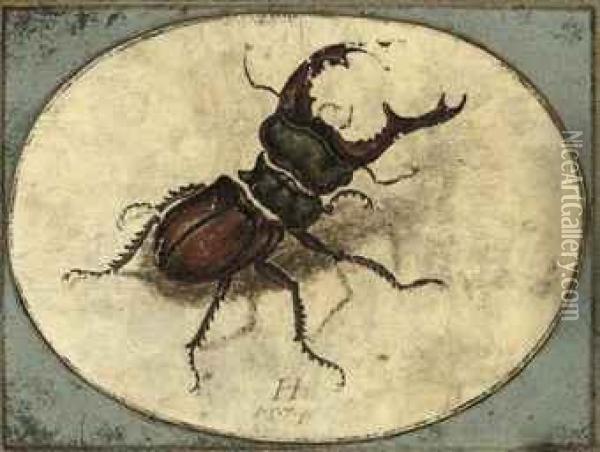 A Stag Beetle Oil Painting - Hans Hoffmann