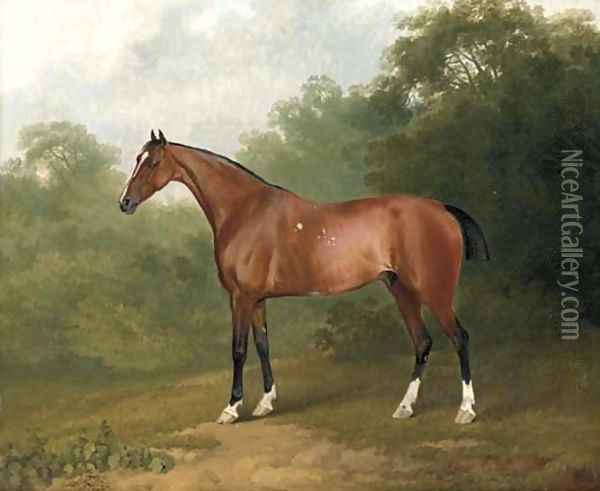 A bay horse in a wooded landscape Oil Painting - Sawrey Gilpin