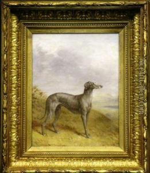 Standing Greyhound In A Landscape Oil Painting - William Barraud