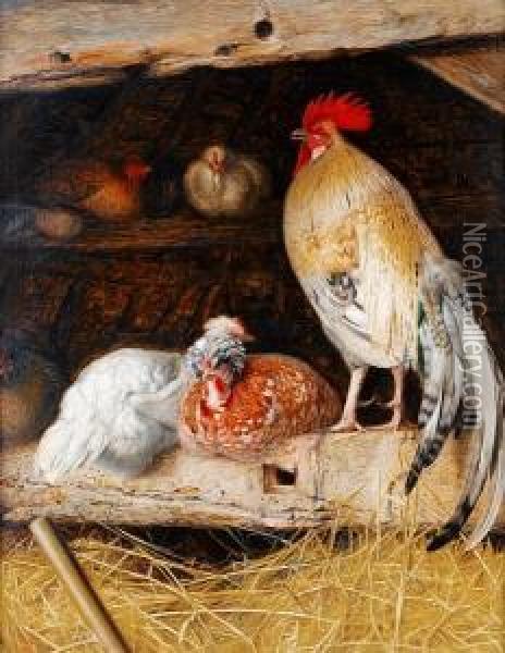 Poultry In A Barn Oil Painting - William J. Webbe or Webb