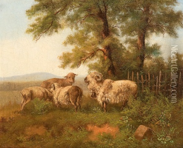 Schafe Auf Der Weide Oil Painting - Martin Martin