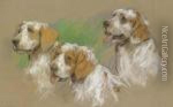 Study Of Three Clumber Spaniel Puppies Oil Painting - Arthur Wardle