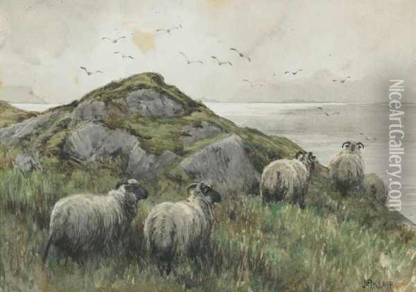 Sheep On Coastal Outcrop Oil Painting - John Robert Keitley Duff