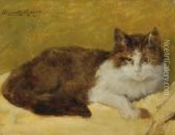 A Reclining Cat Oil Painting - Henriette Ronner-Knip