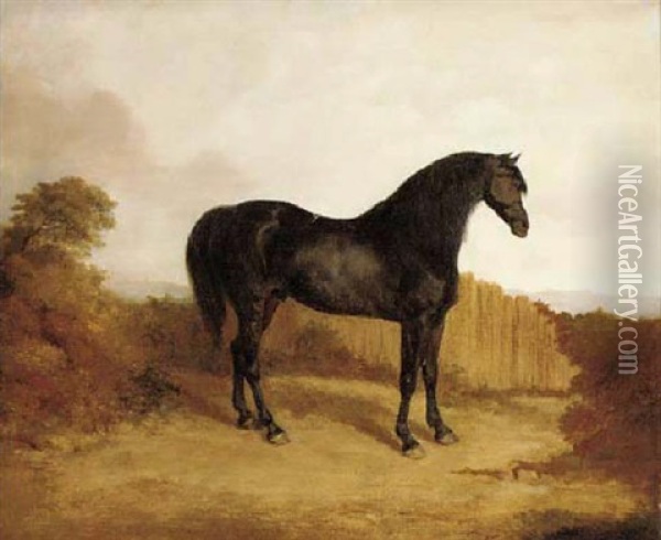 A Liver Chestnut In A Landscape Oil Painting - Thomas Mogford