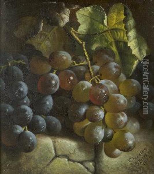 Still Life With Grapes Oil Painting - Charles Stuart