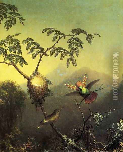 Two Hummingbirds Tufted Coquettes Oil Painting - Martin Johnson Heade