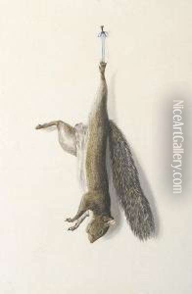 Nature Morte Of A Squirrel Oil Painting - George Louis Viavant