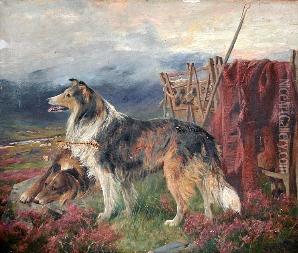Sheepdogs In A Moorland Landscape Oil Painting - Arthur Wardle