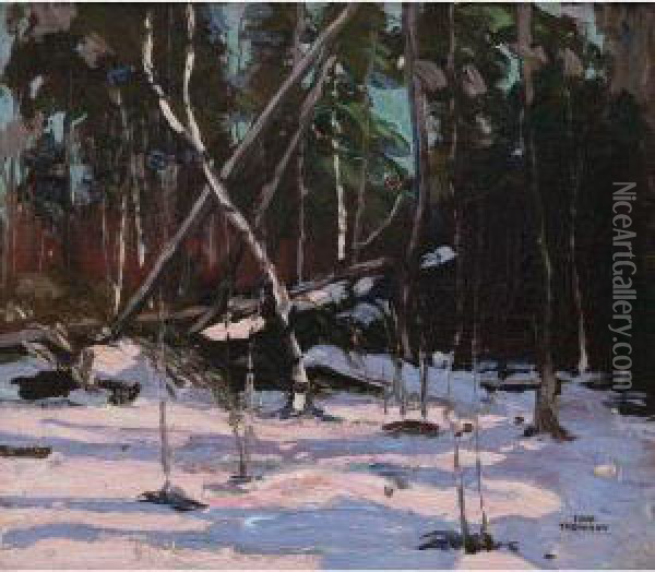 Early Snow, Algonquin Park Oil Painting - Tom Thomson