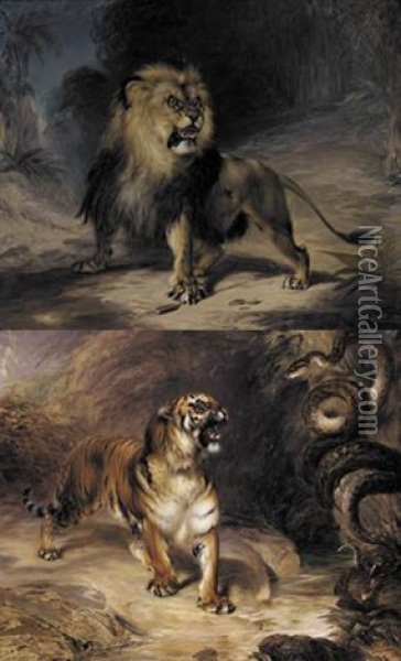A Tiger And Serpent Oil Painting - William John Huggins