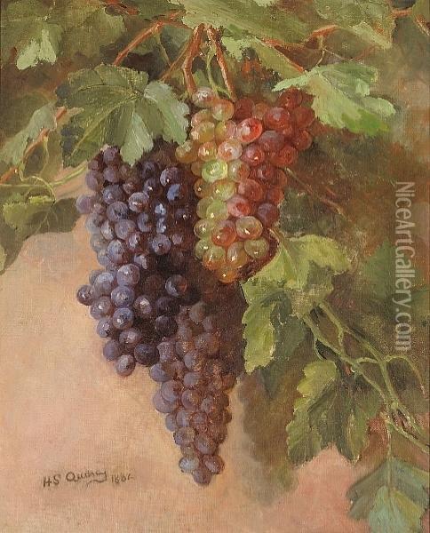 Grapevine Oil Painting - Henrietta S. Quincy