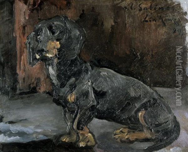 Junger Dackel Oil Painting - Leo von Koenig
