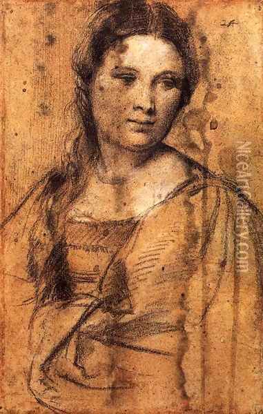 Portrait of a Young Woman Oil Painting - Tiziano Vecellio (Titian)