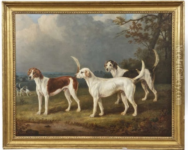 Hounds In A Wooded Pastoral Landscape Oil Painting - William Webb