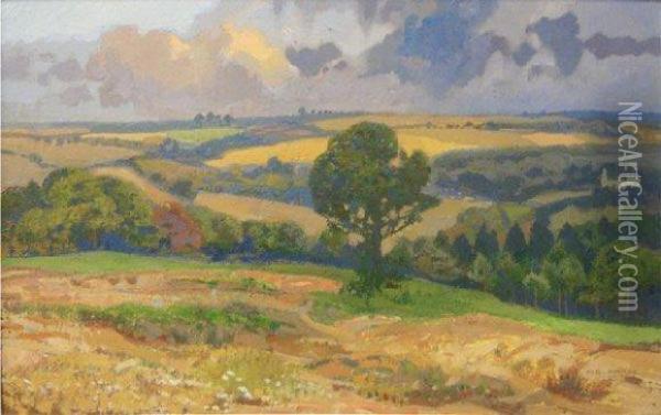Paysage Oil Painting - Auguste Donnay